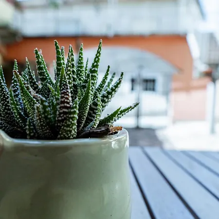 公寓 Klara's Maggiore E 24 Min Da Malpensa Airport 卡斯特尔图-苏帕提茨诺