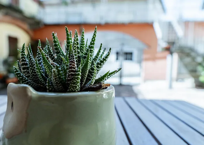 Διαμέρισμα Klara's Maggiore E 24 Min Da Malpensa Airport Castelletto sopra Ticino